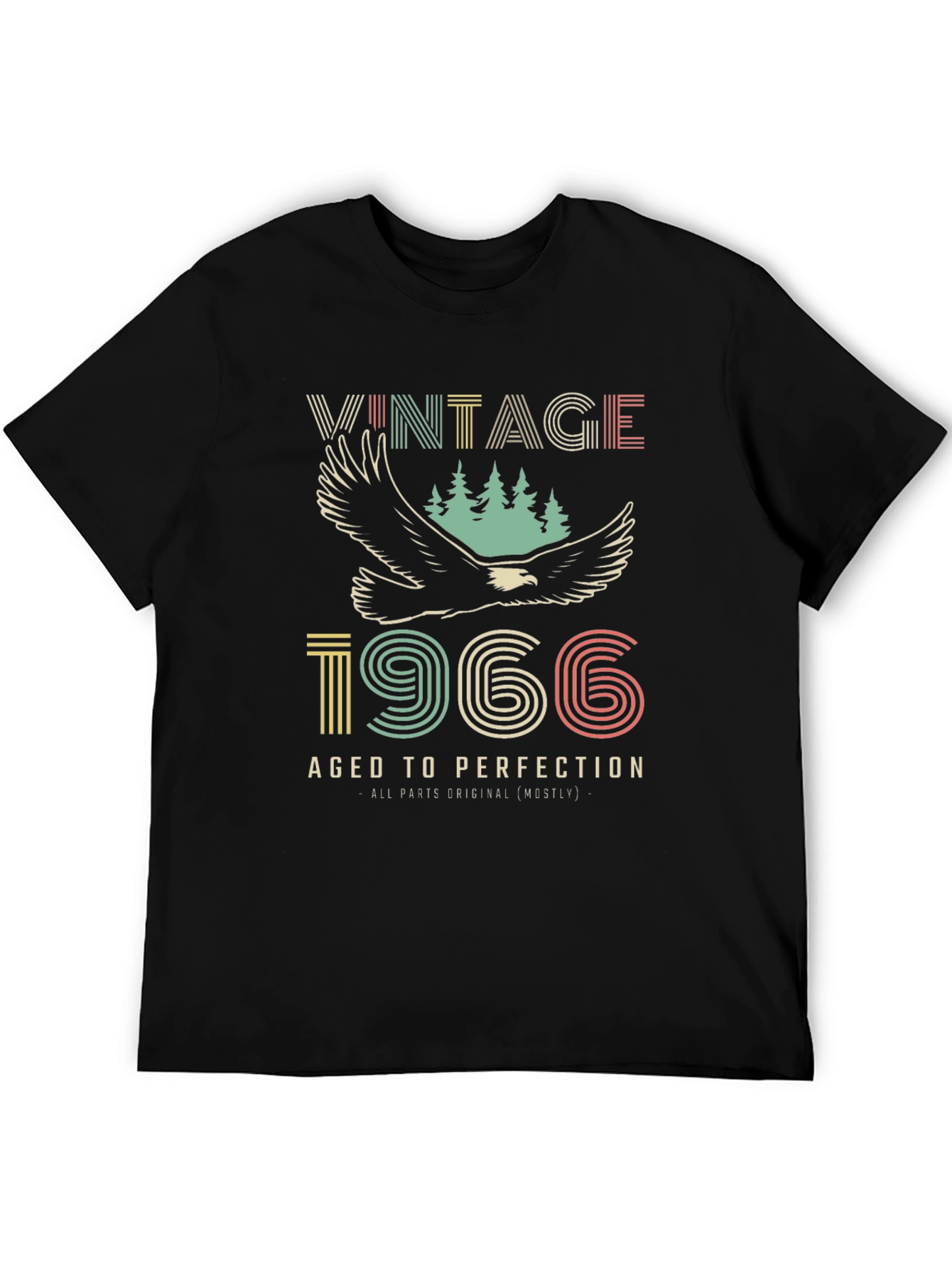 Vintage 1966 Aged to Perfection Graphic T-Shirt