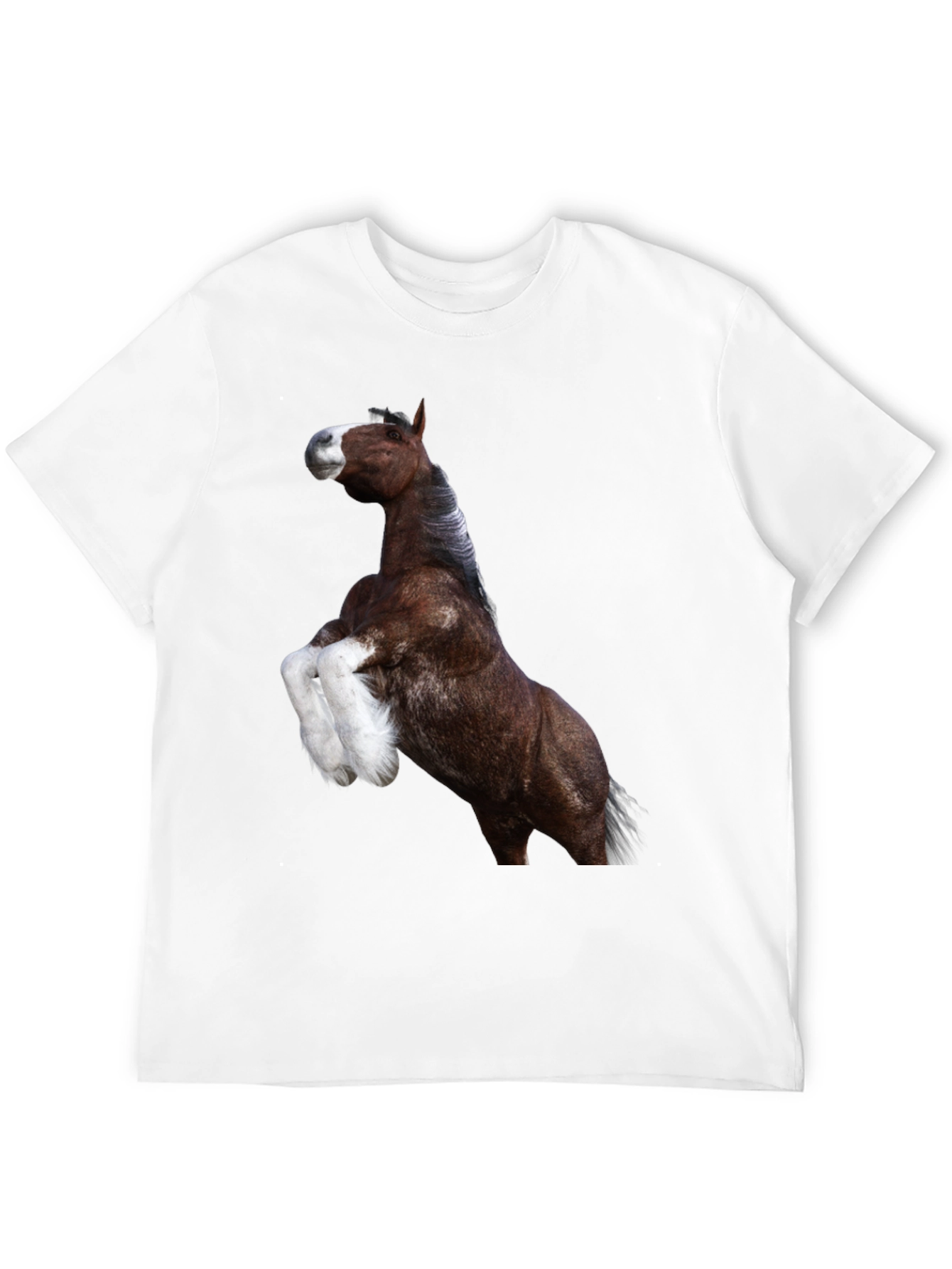 Horse Graphic Tee - Black Cotton T-Shirt