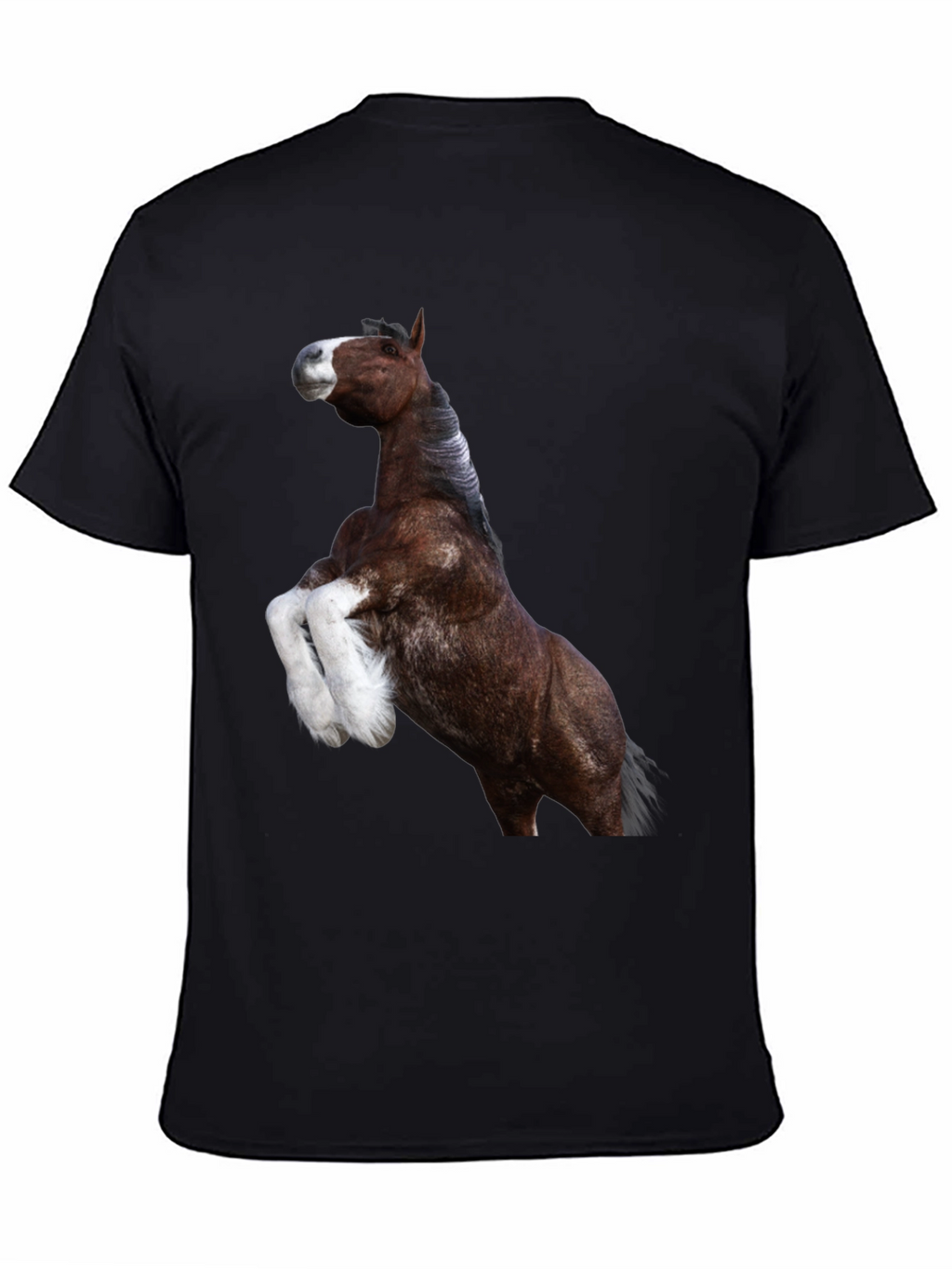 Horse Graphic Tee - Black Cotton T-Shirt