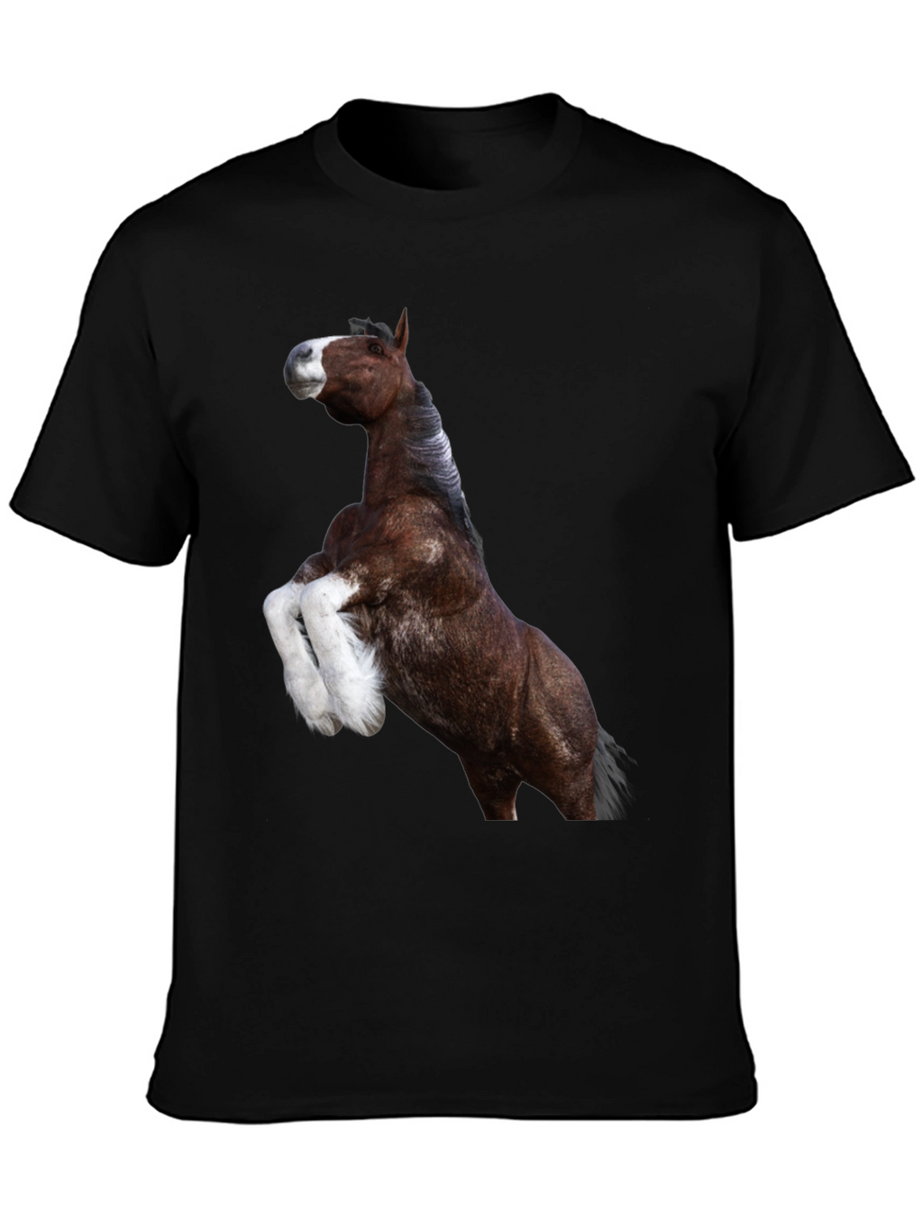 Horse Graphic Tee - Black Cotton T-Shirt
