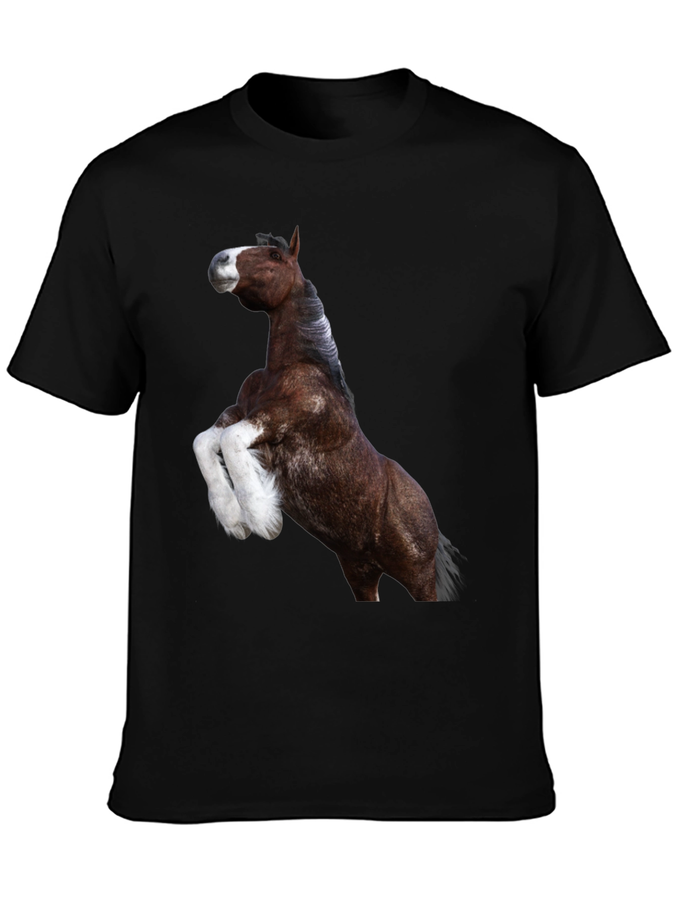 Horse Graphic Tee - Black Cotton T-Shirt