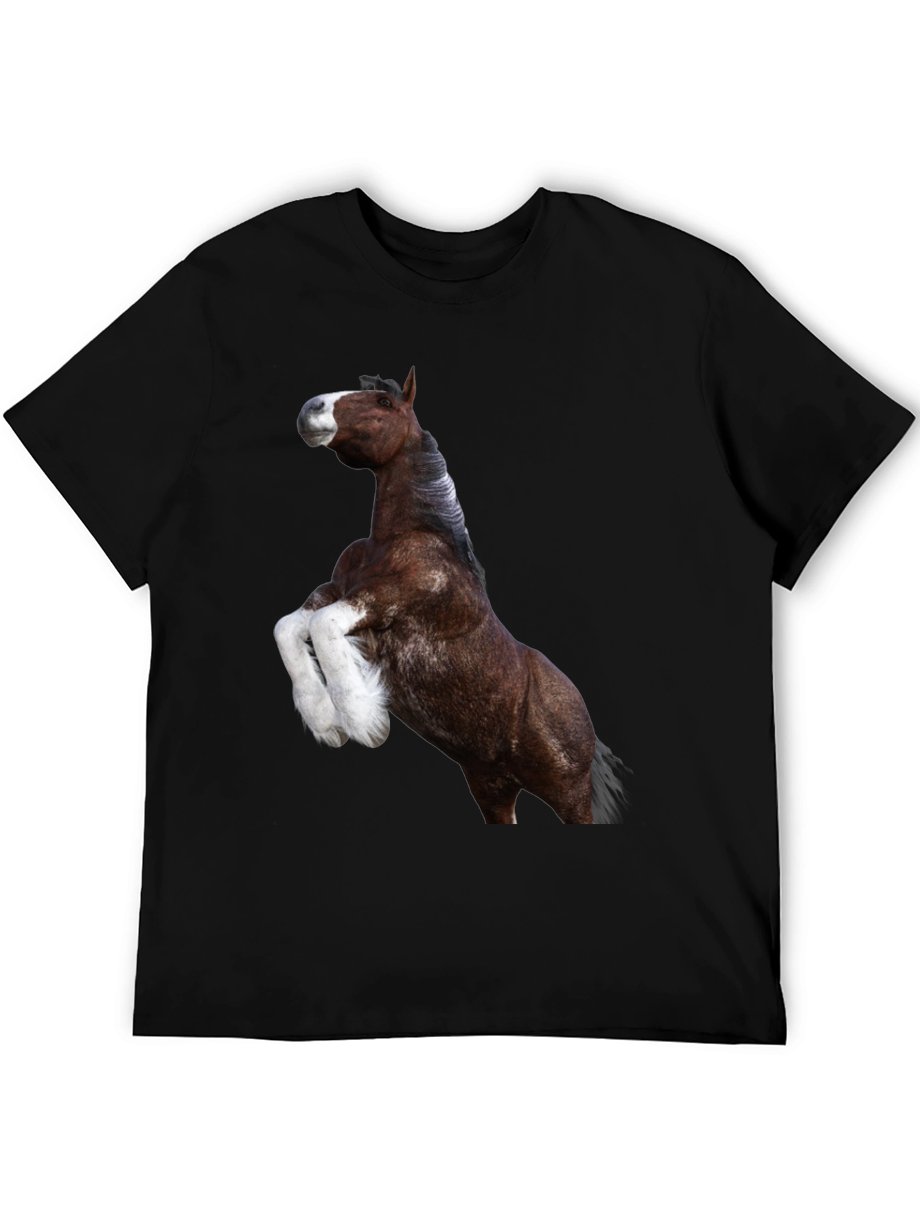Horse Graphic Tee - Black Cotton T-Shirt