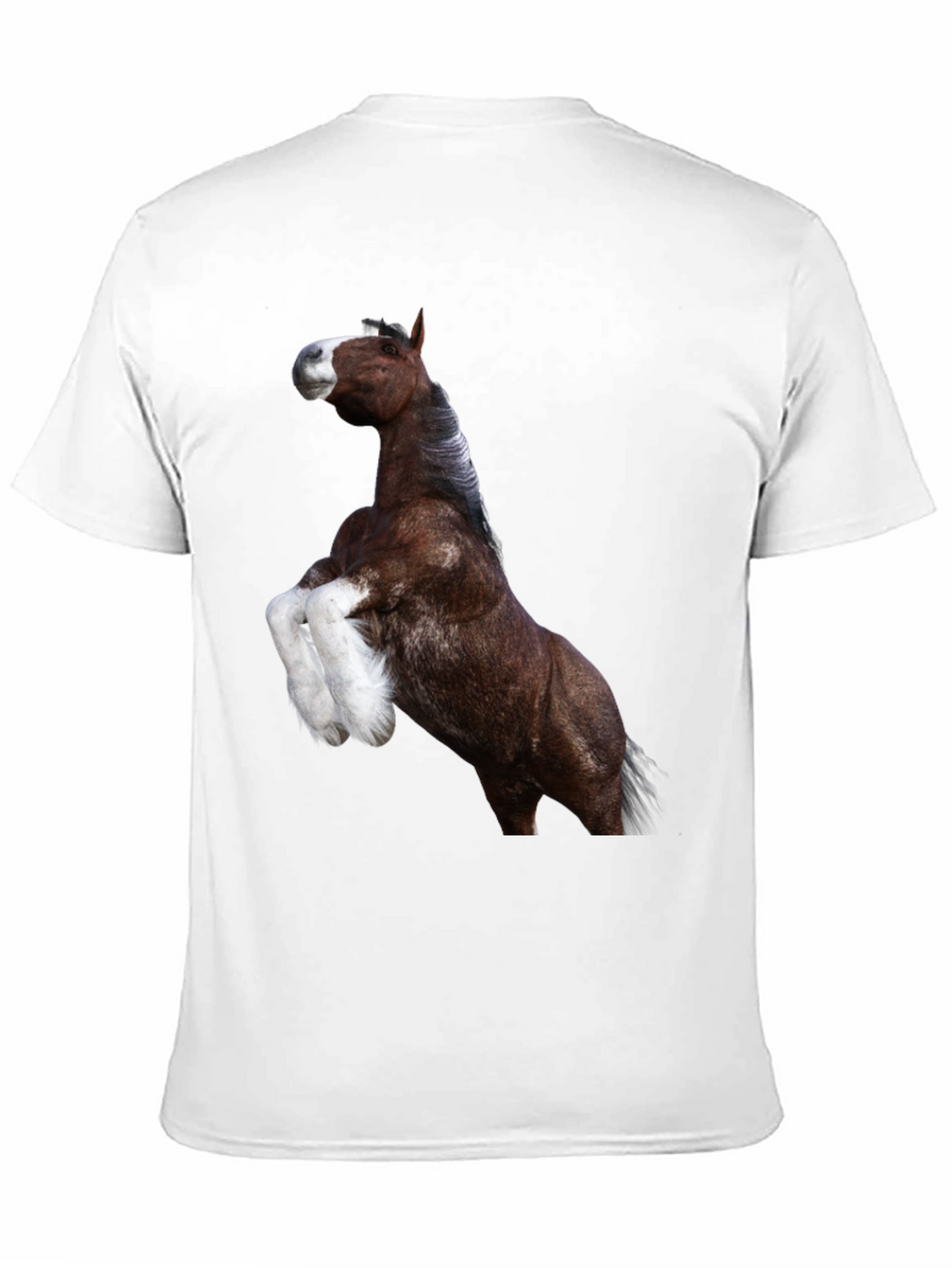 Horse Graphic Tee - Black Cotton T-Shirt