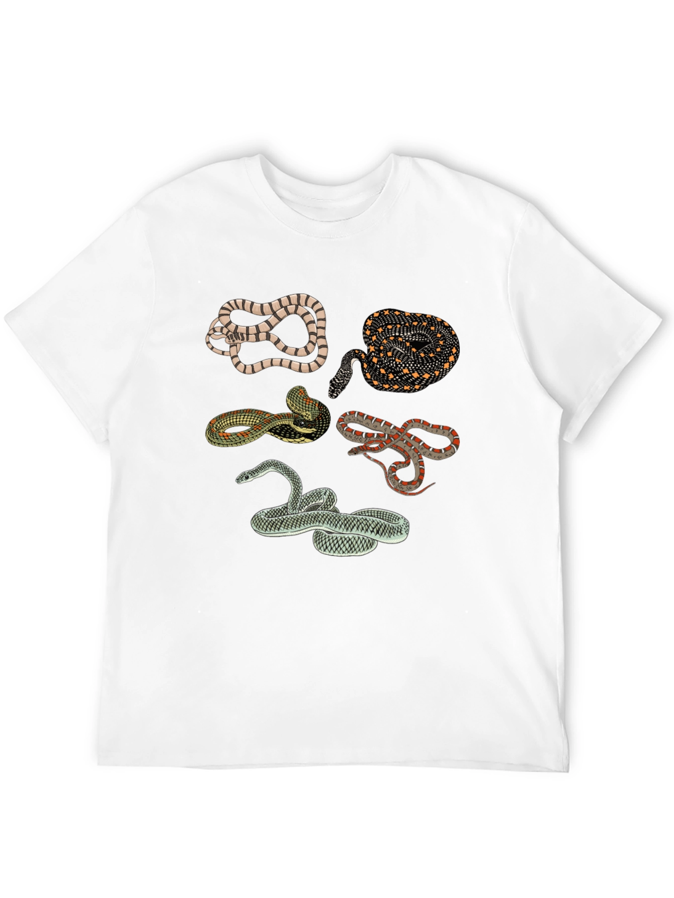 Snake Print Crew Neck Tee - Black