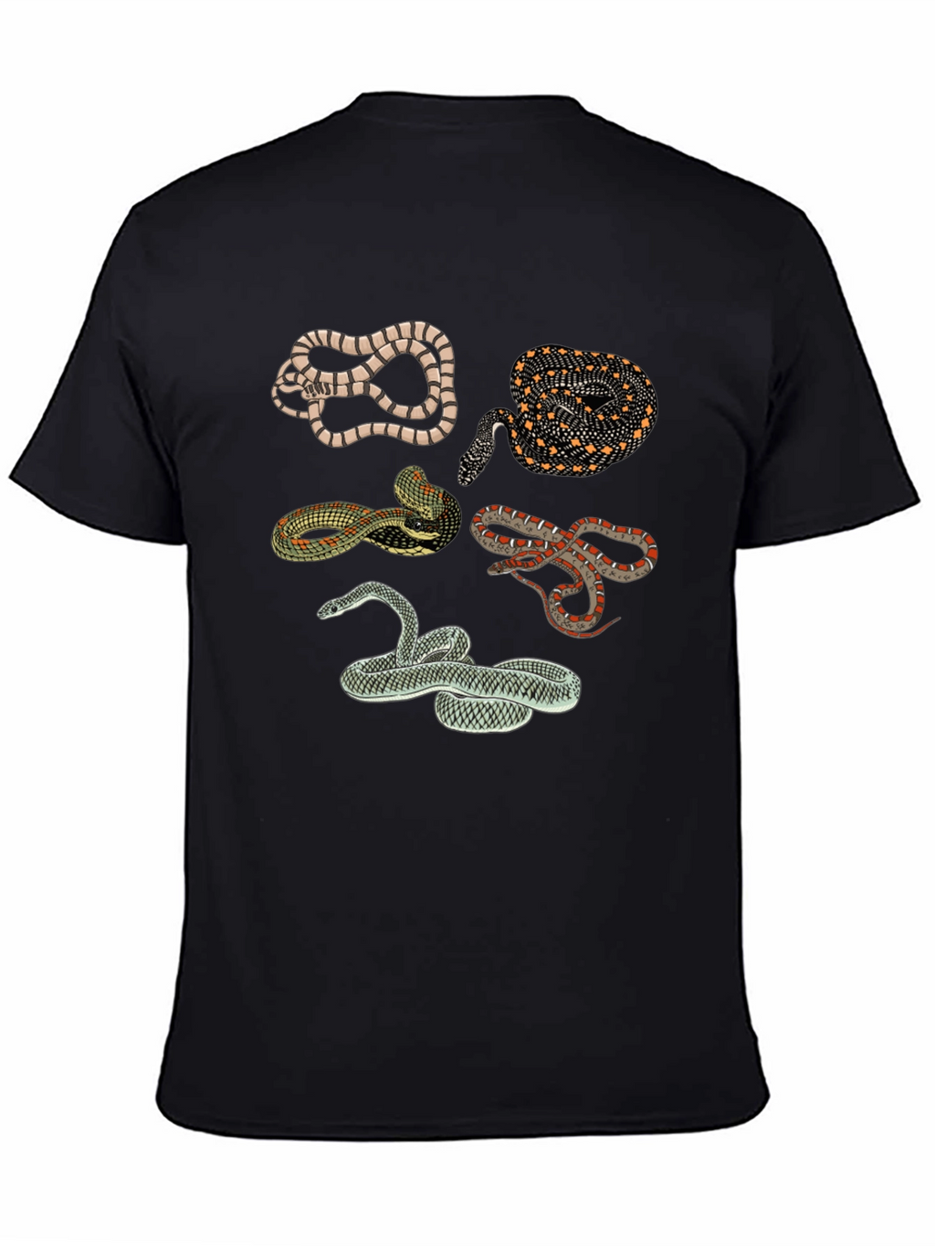 Snake Print Crew Neck Tee - Black