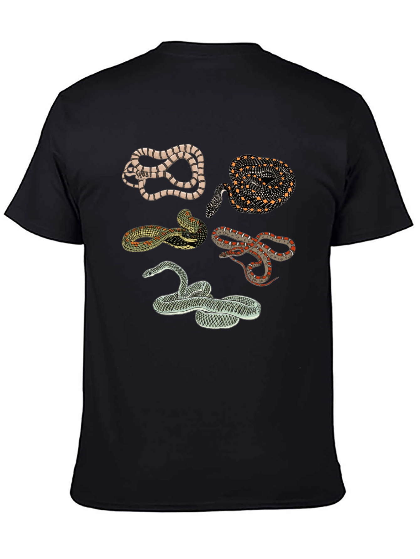Snake Print Crew Neck Tee - Black