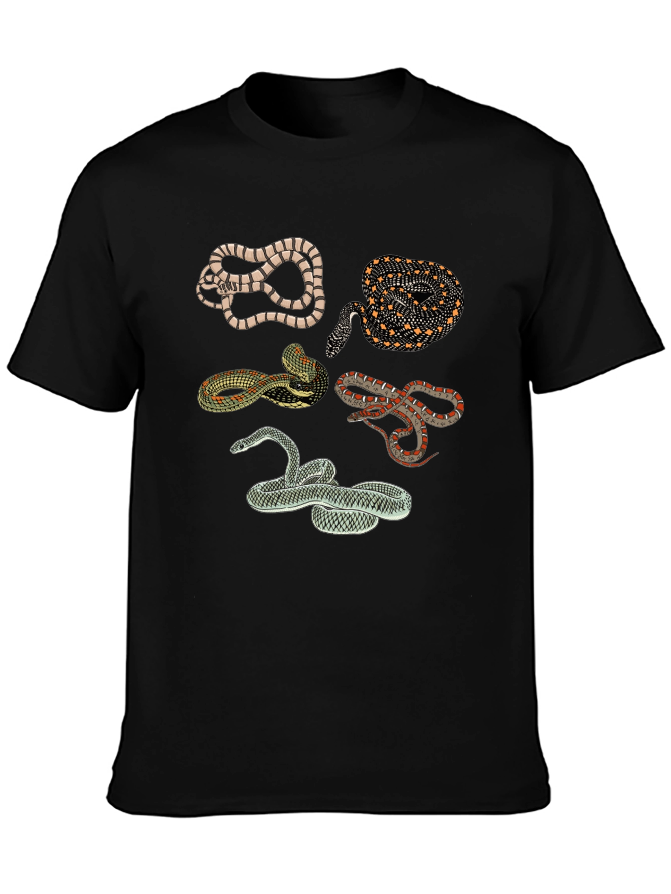Snake Print Crew Neck Tee - Black