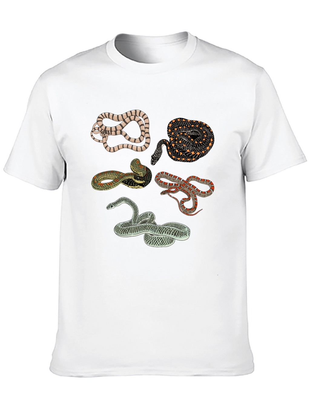Snake Print Crew Neck Tee - Black