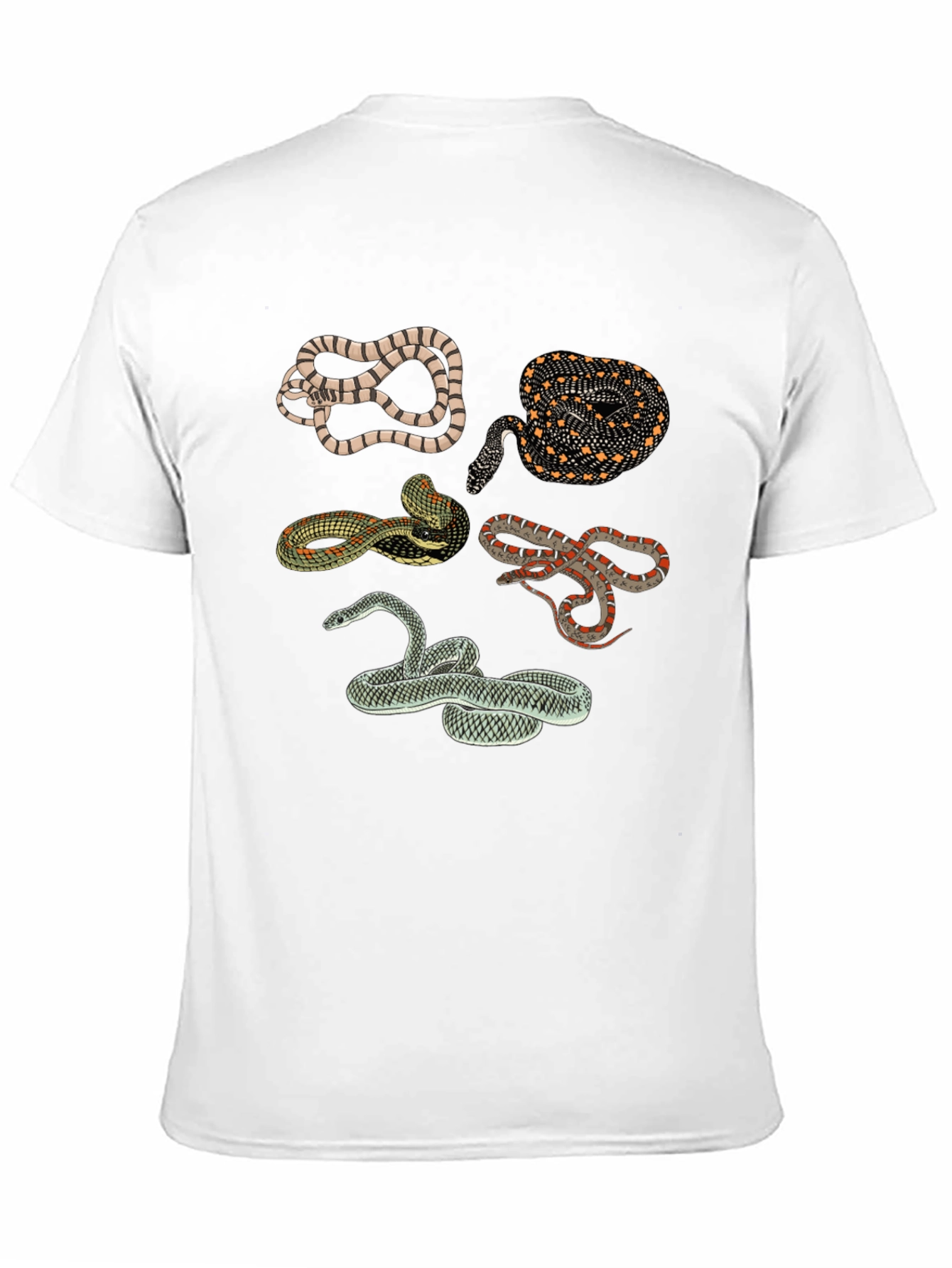 Snake Print Crew Neck Tee - Black