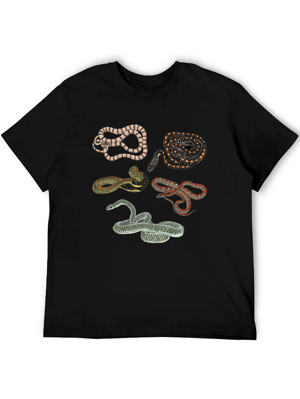 Snake Print Crew Neck Tee - Black