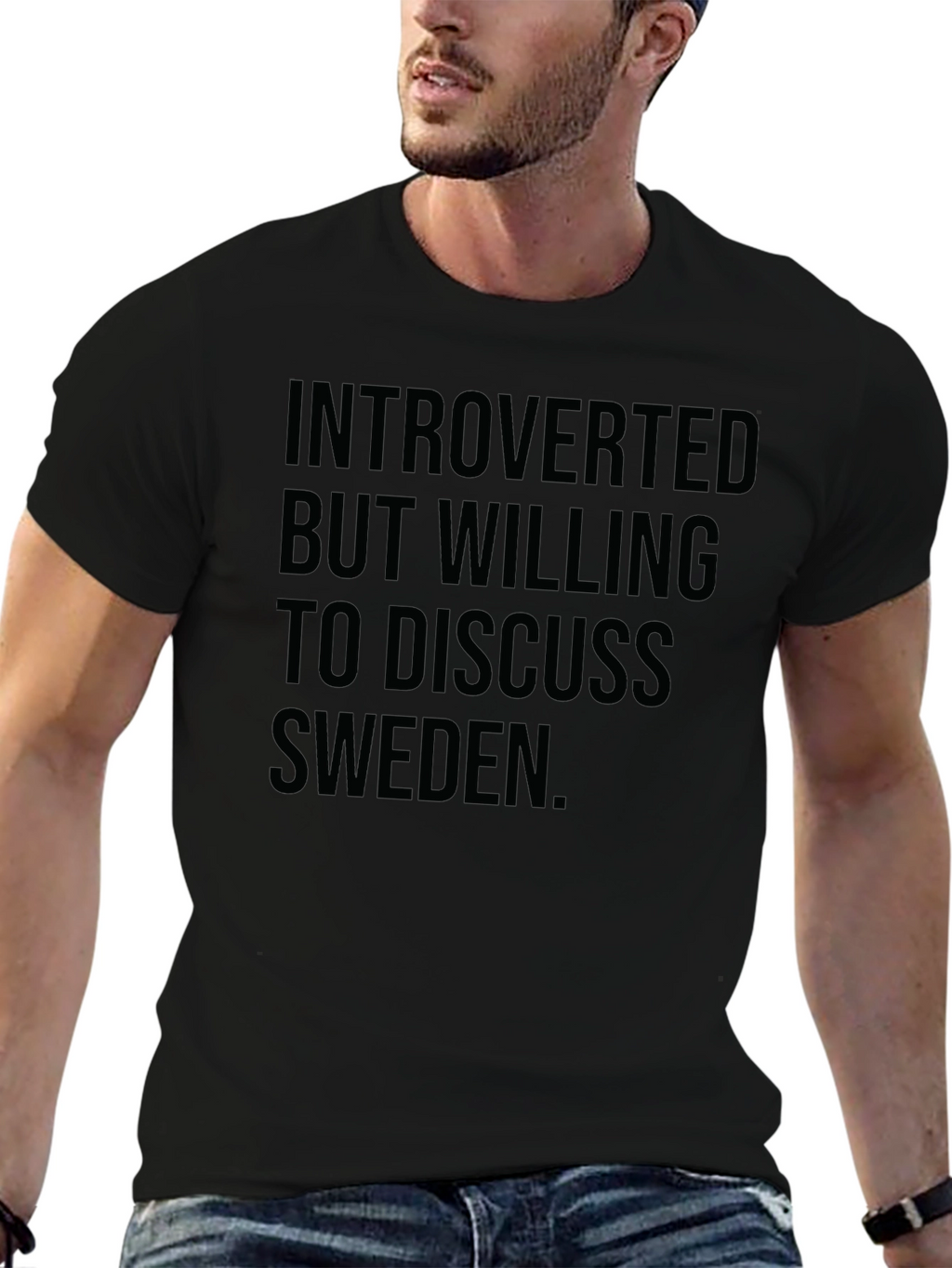 Introverted Sweden T-Shirt - Funny Statement Tee