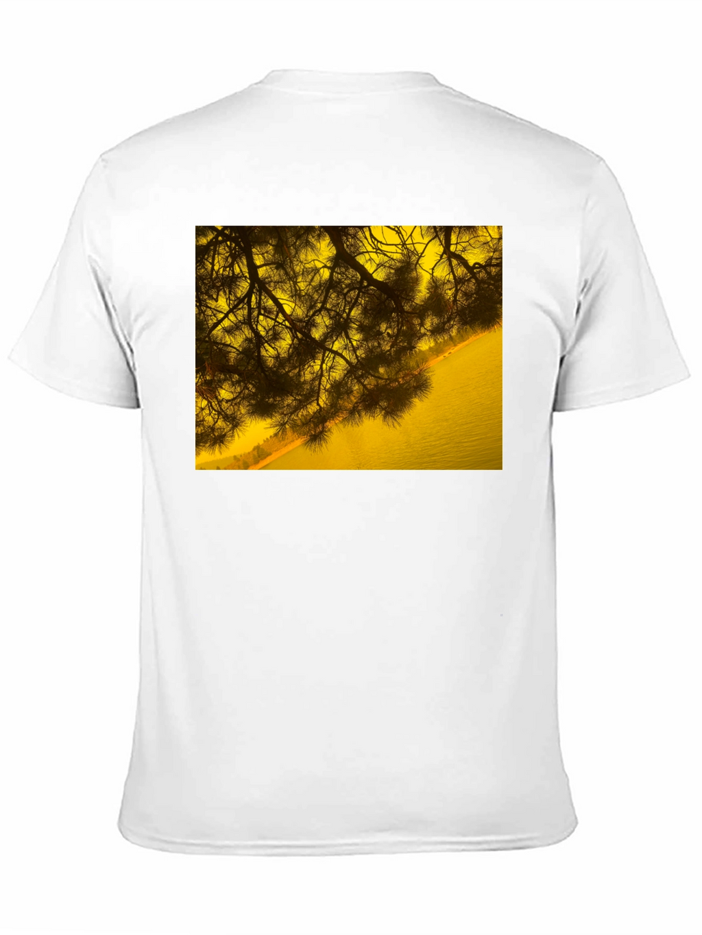 Nature Scene Graphic Tee - Black Cotton T-Shirt