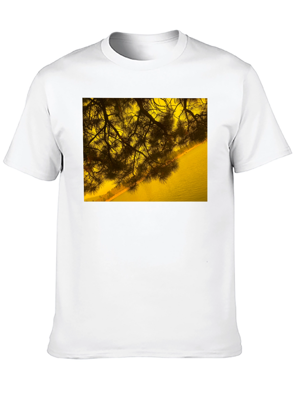 Nature Scene Graphic Tee - Black Cotton T-Shirt