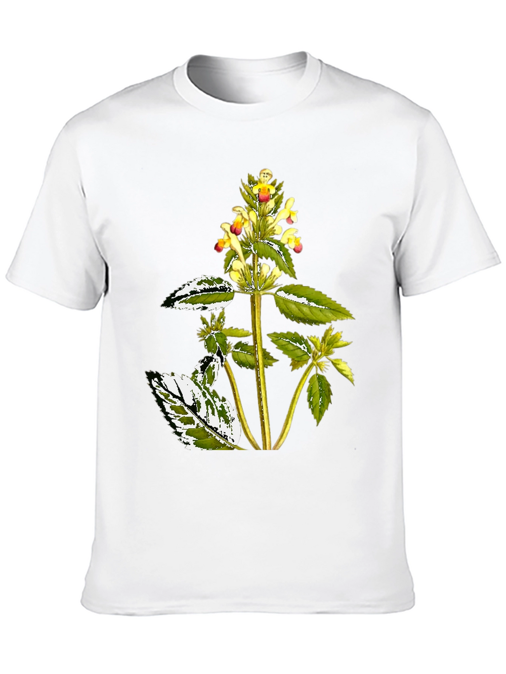 Botanical Graphic Black Tee