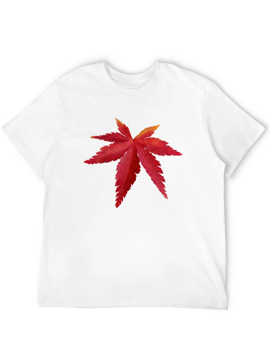 Maple Leaf Graphic Tee - Stylish Black T-Shirt