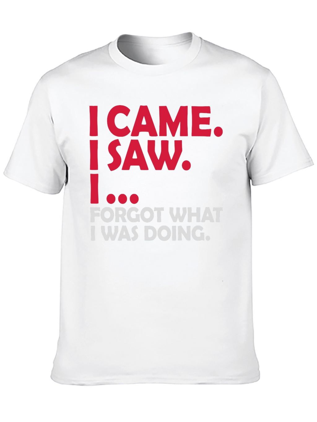 Funny Sarcastic T-Shirt - I Came I Saw...