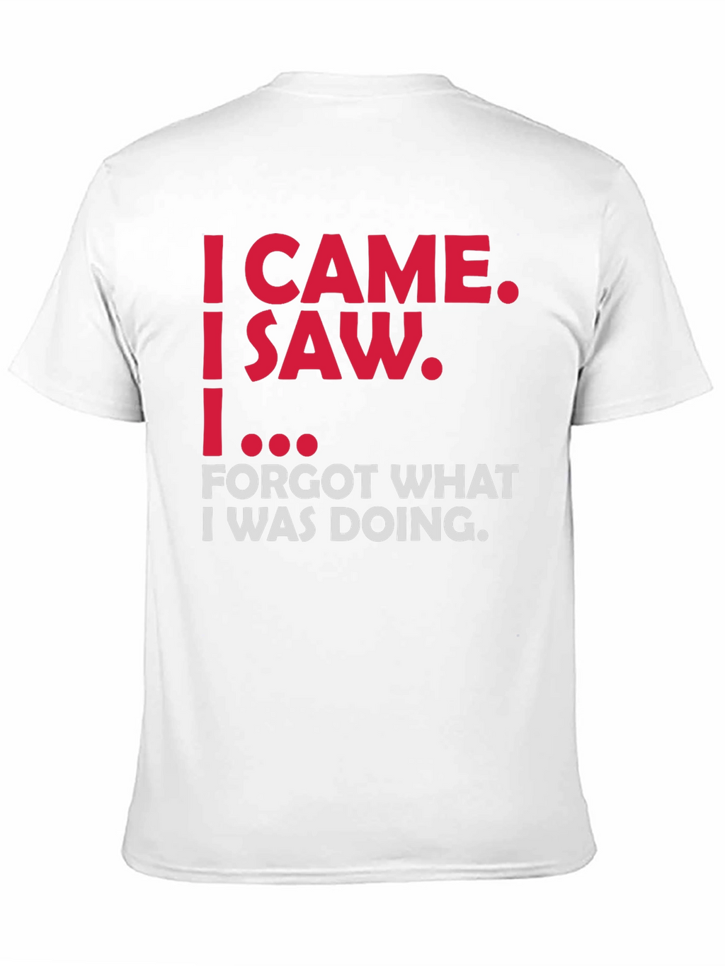 Funny Sarcastic T-Shirt - I Came I Saw...