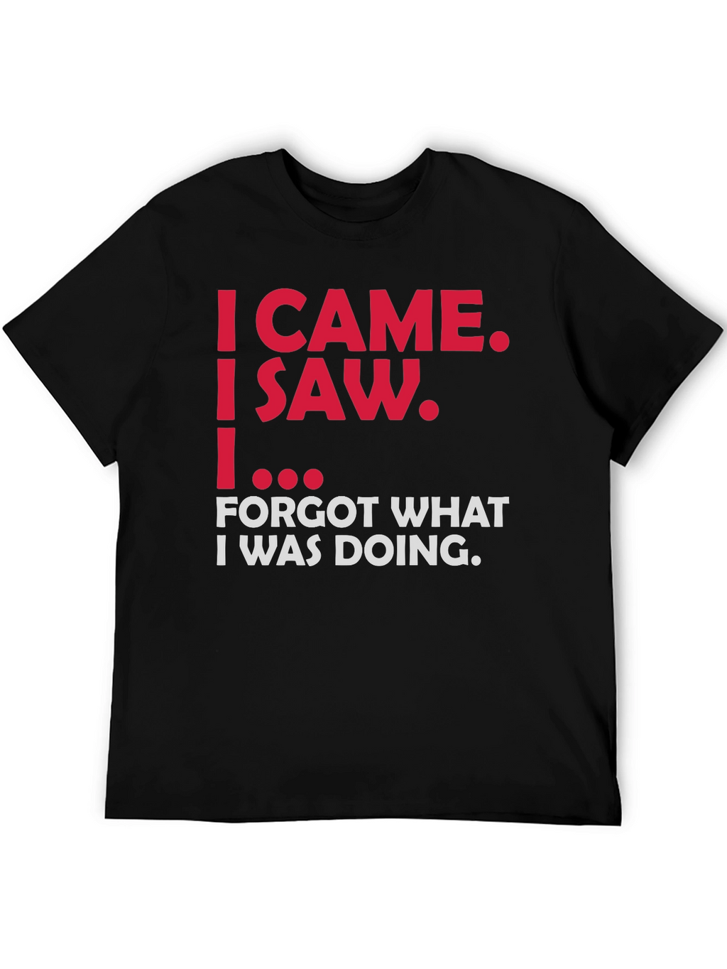 Funny Sarcastic T-Shirt - I Came I Saw...