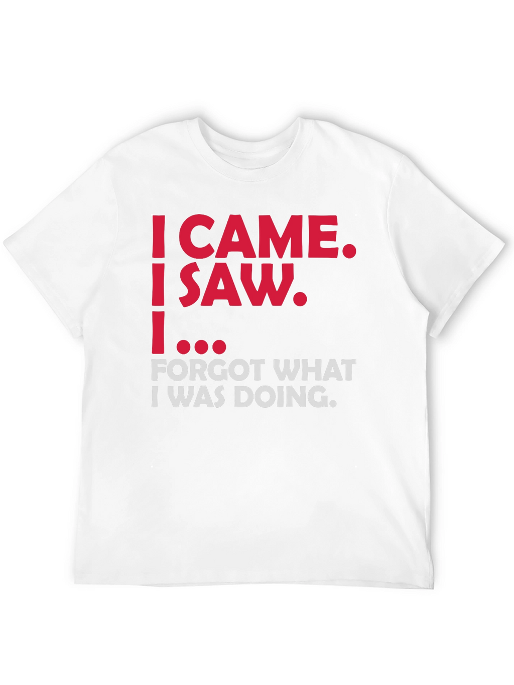 Funny Sarcastic T-Shirt - I Came I Saw...
