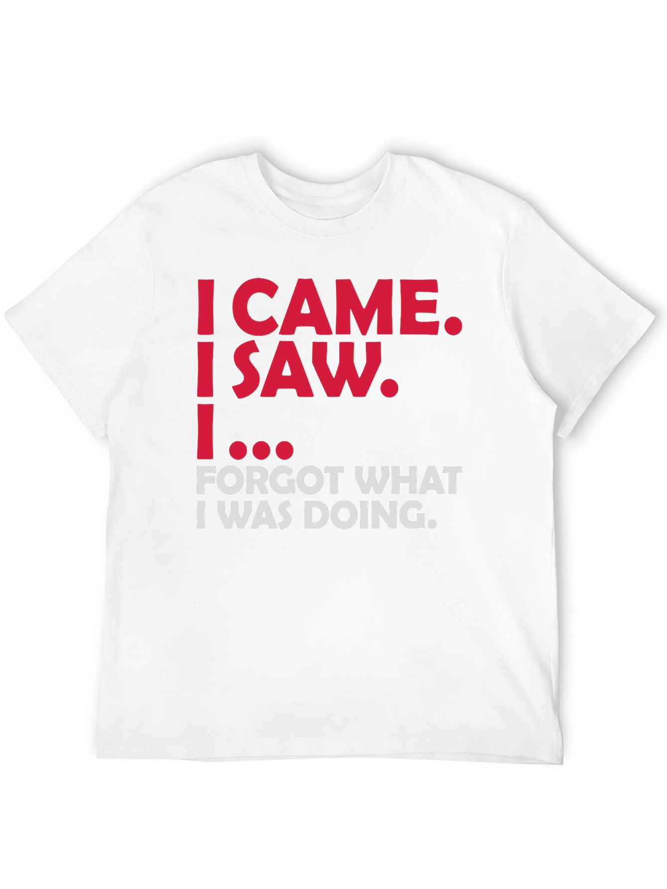 Funny Sarcastic T-Shirt - I Came I Saw...