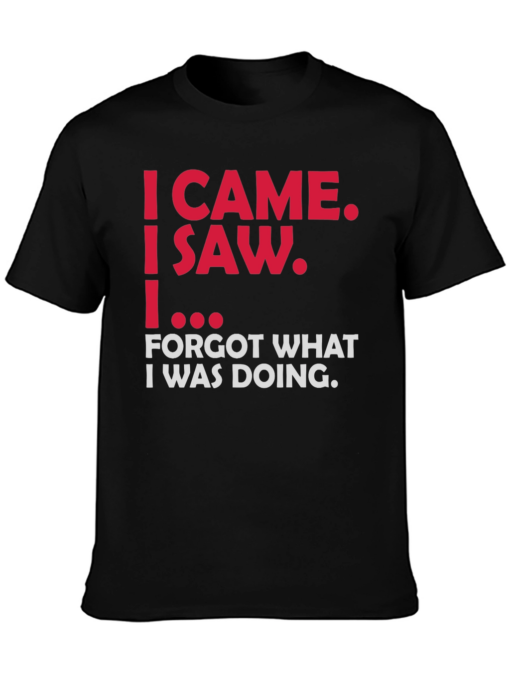 Funny Sarcastic T-Shirt - I Came I Saw...