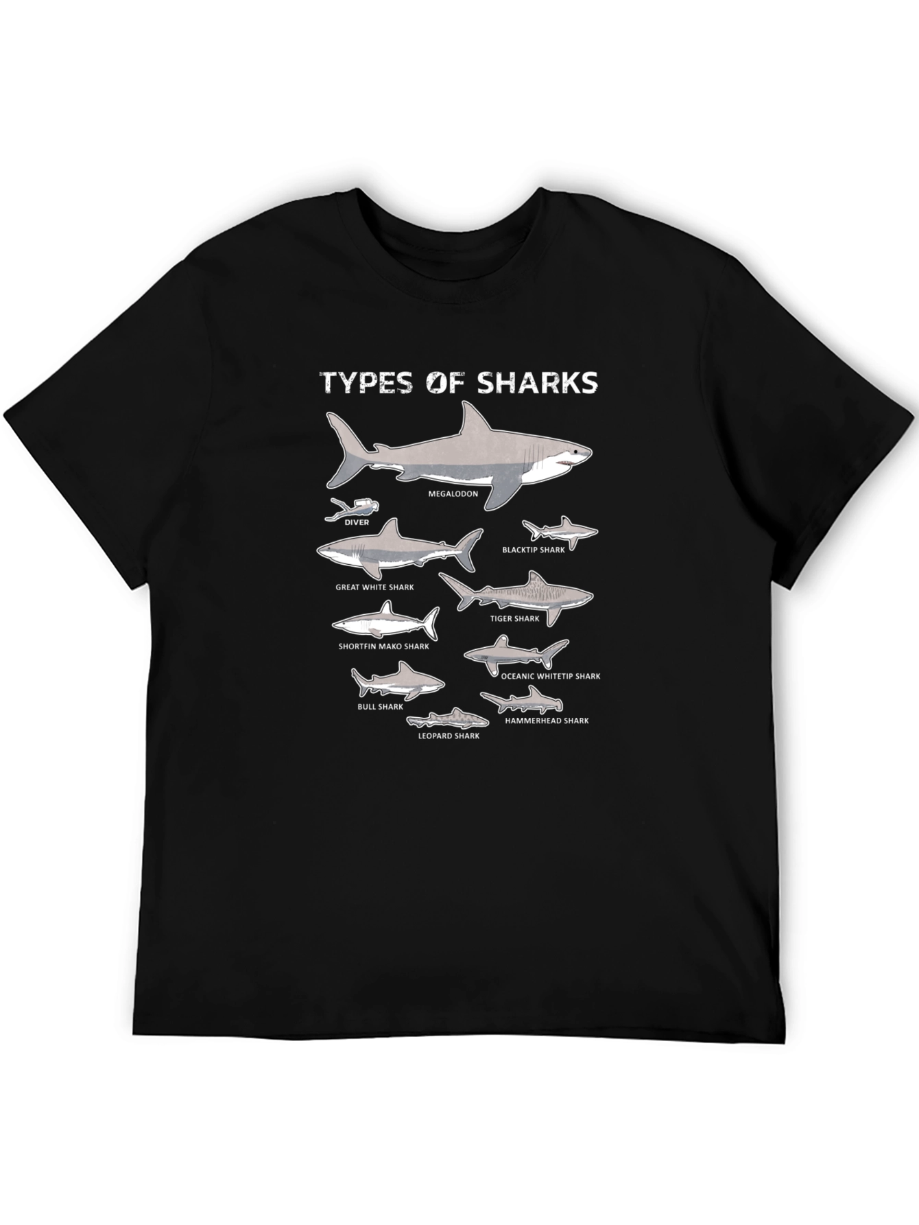 Types of Sharks Graphic Print Black T-Shirt