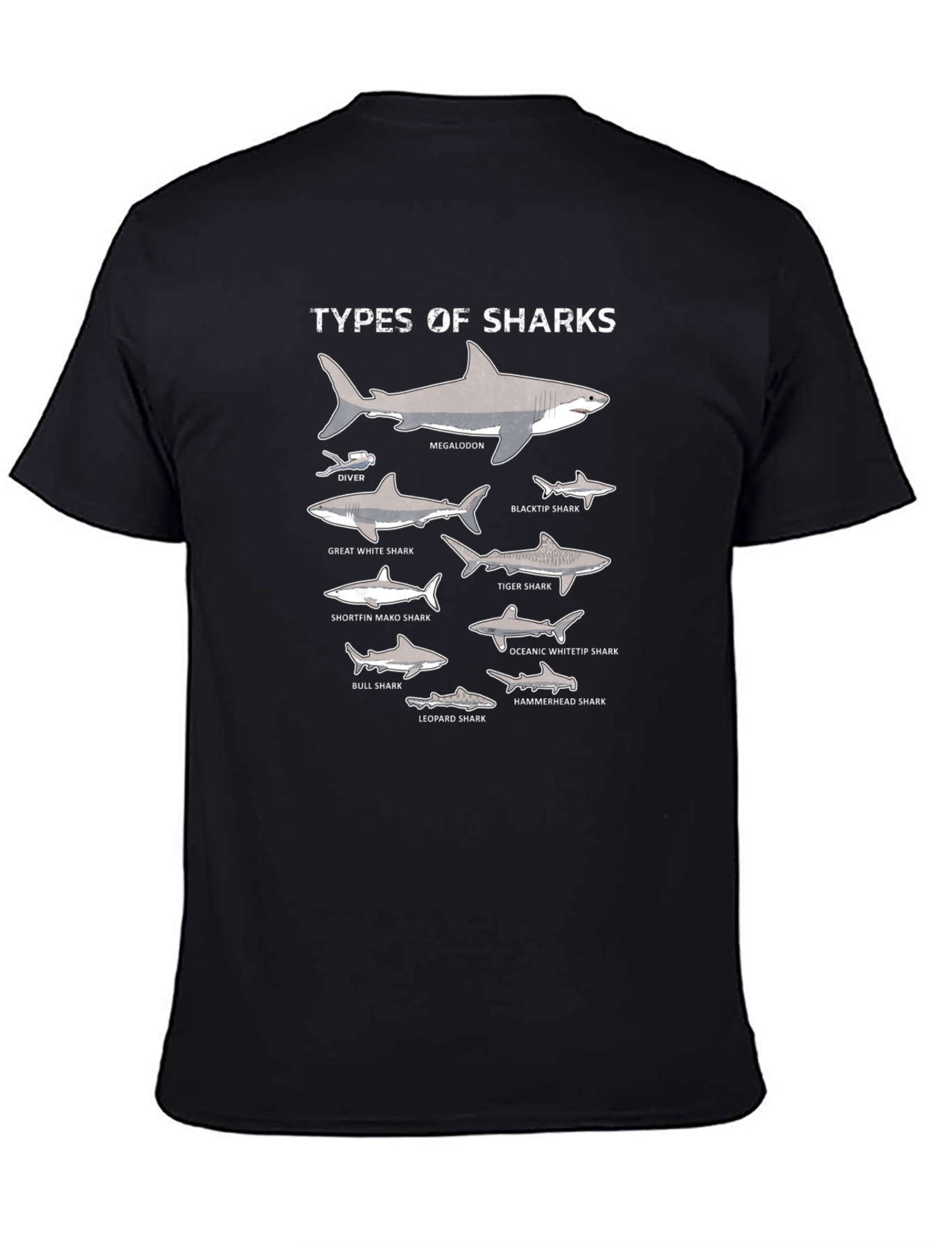 Types of Sharks Graphic Print Black T-Shirt