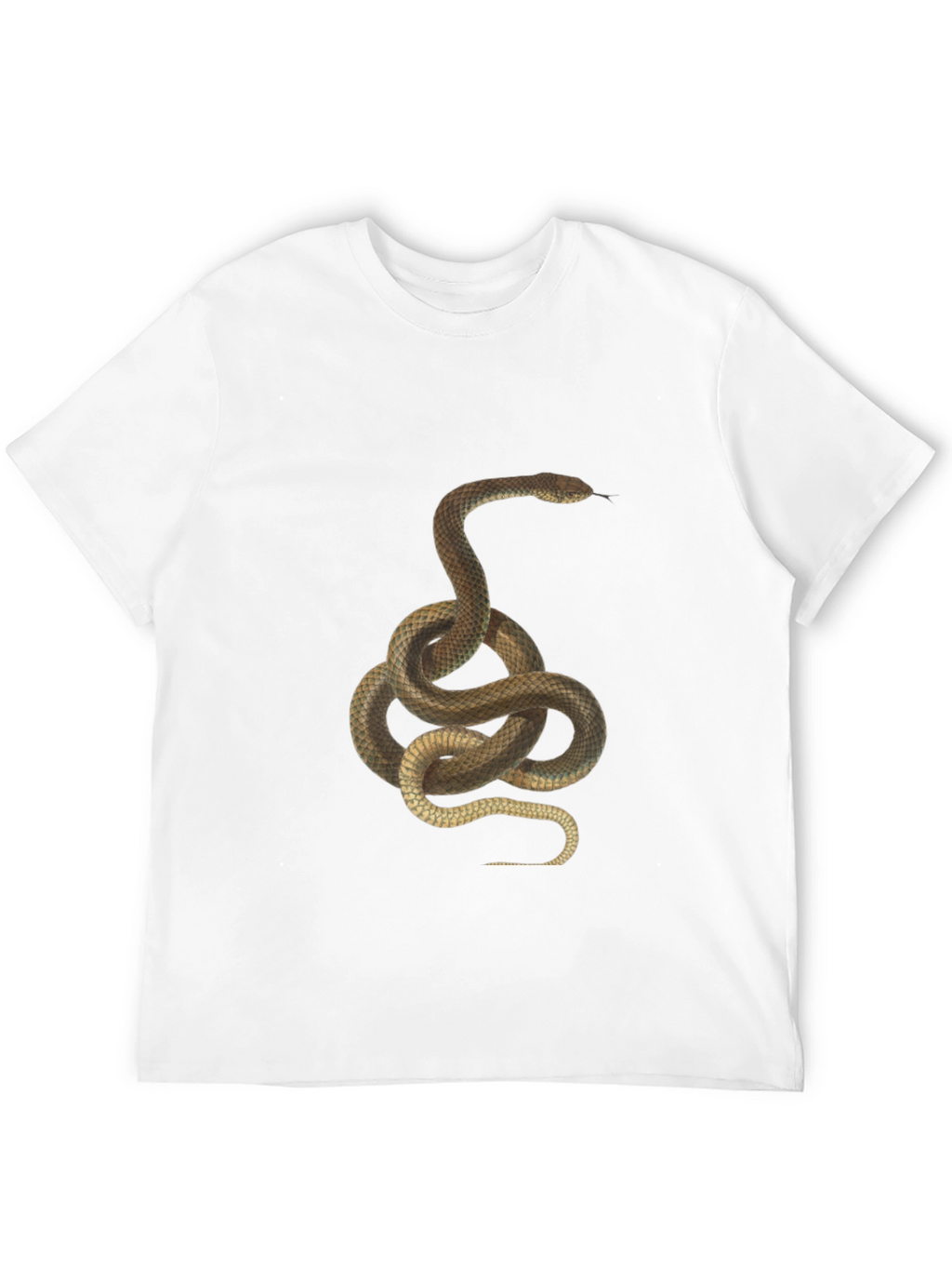 Snake Graphic Print T-Shirt - Classic Black Tee