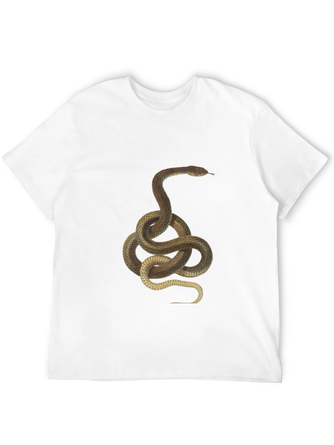 Snake Graphic Print T-Shirt - Classic Black Tee