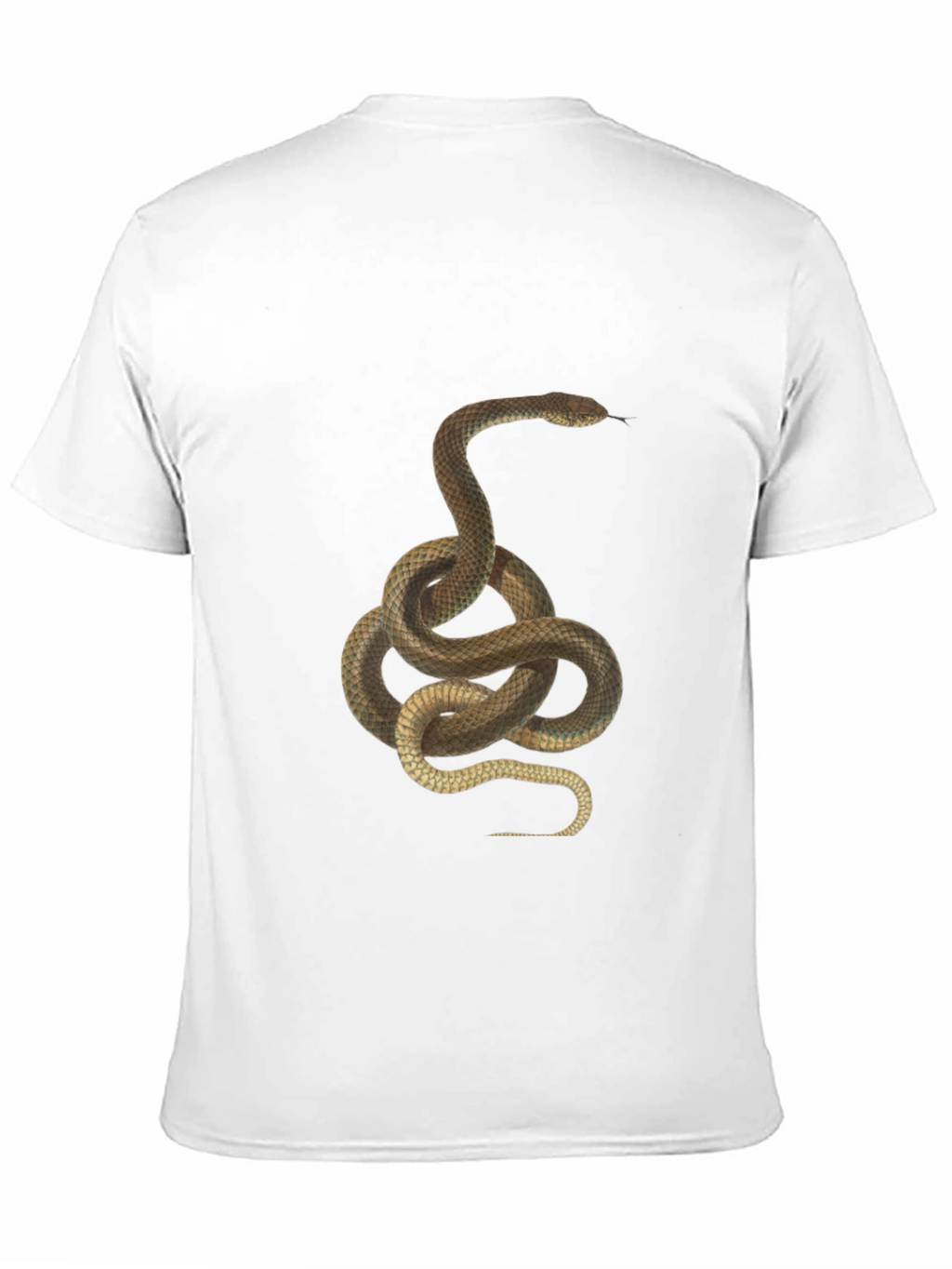 Snake Graphic Print T-Shirt - Classic Black Tee