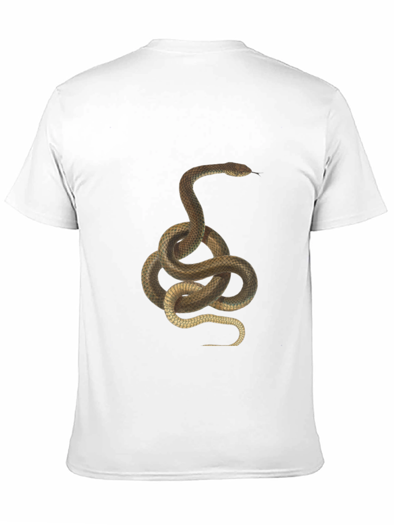 Snake Graphic Print T-Shirt - Classic Black Tee