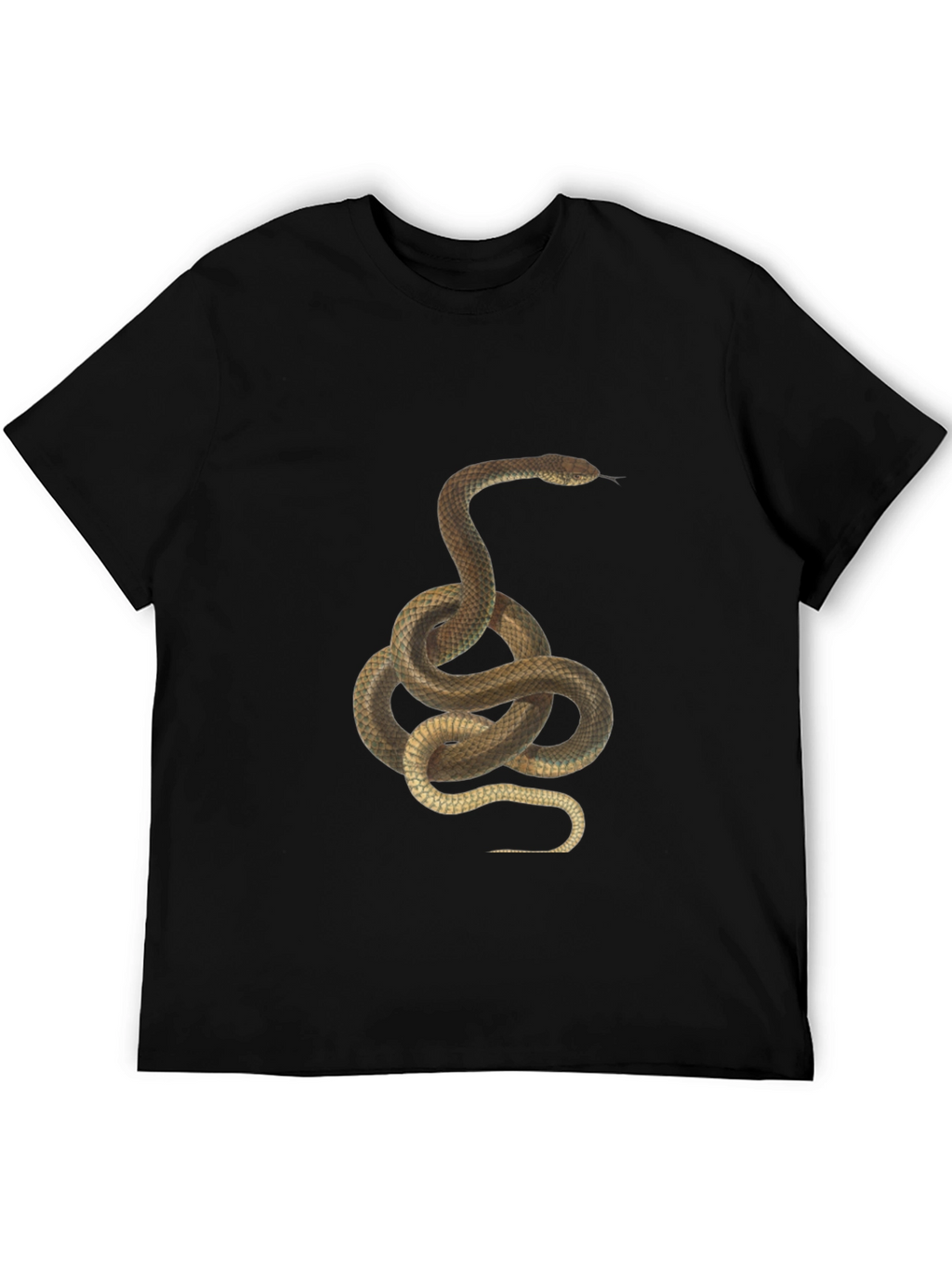 Snake Graphic Print T-Shirt - Classic Black Tee