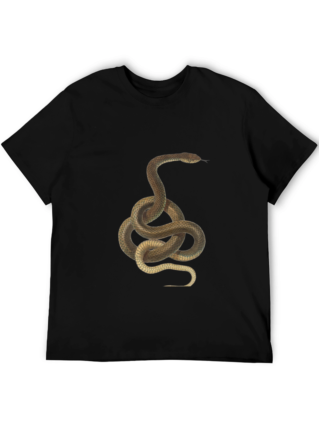 Snake Graphic Print T-Shirt - Classic Black Tee