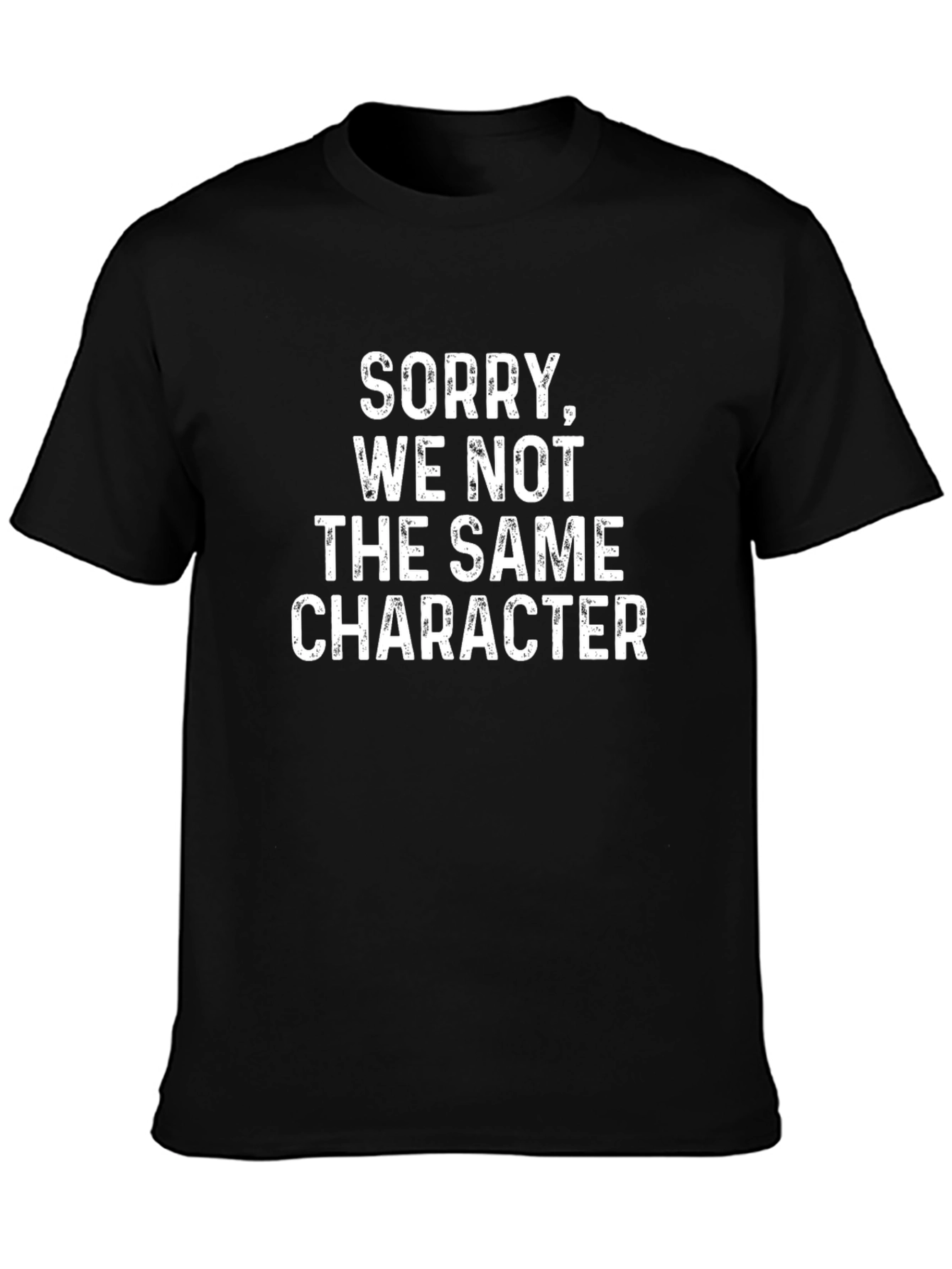 Funny Sorry We Not The Same Character Graphic T-Shirt
