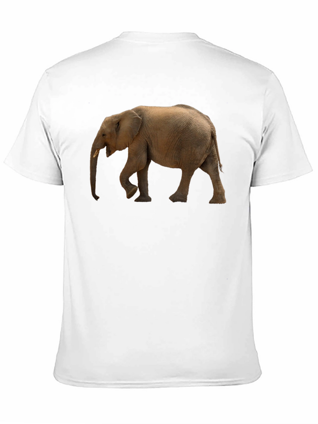 Elephant Graphic Tee - Black Cotton Comfort