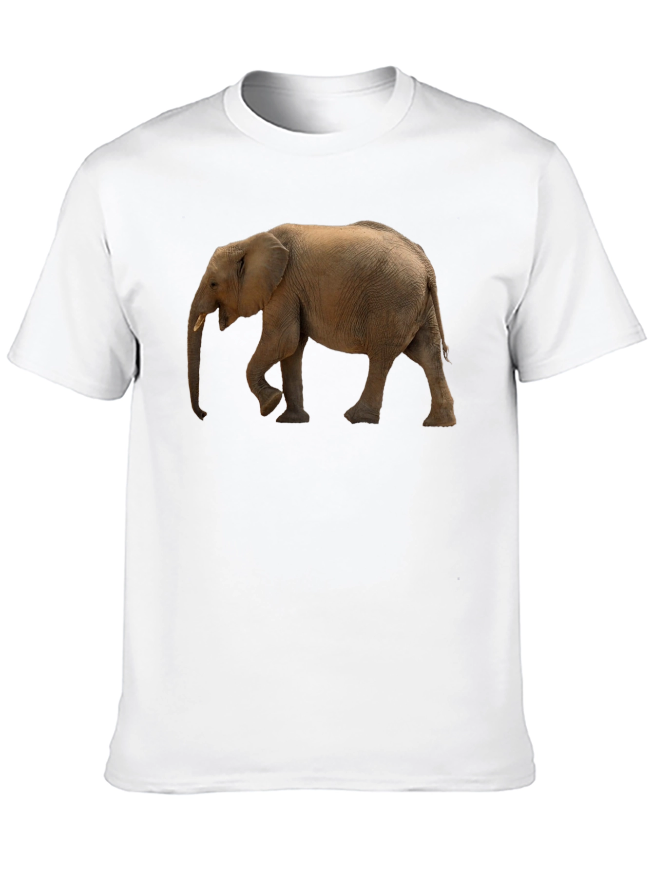 Elephant Graphic Tee - Black Cotton Comfort