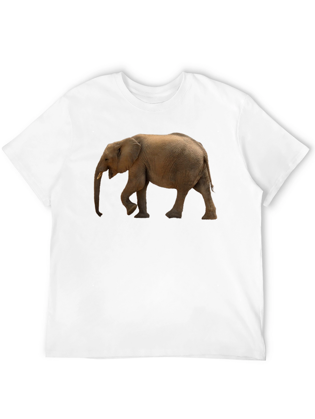 Elephant Graphic Tee - Black Cotton Comfort