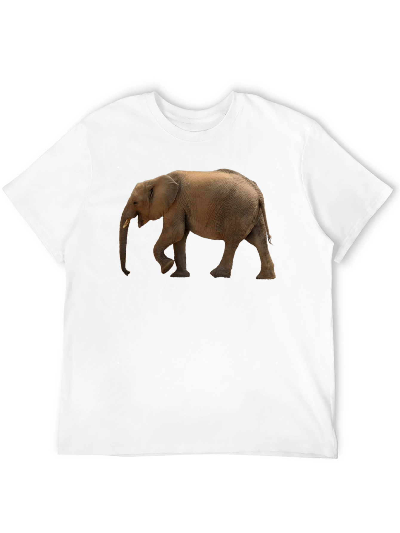 Elephant Graphic Tee - Black Cotton Comfort