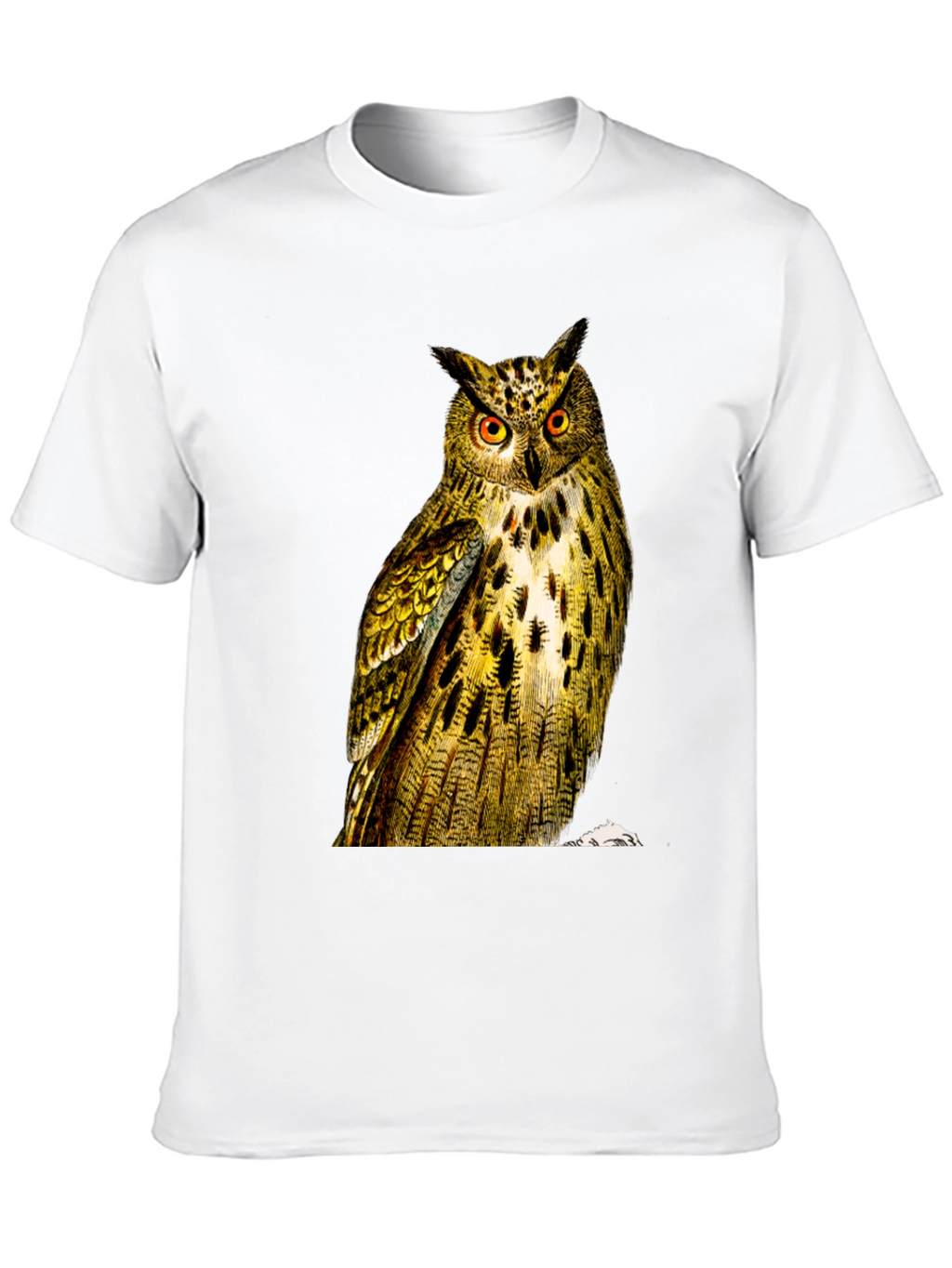Owl Graphic Print Mens Black T-Shirt
