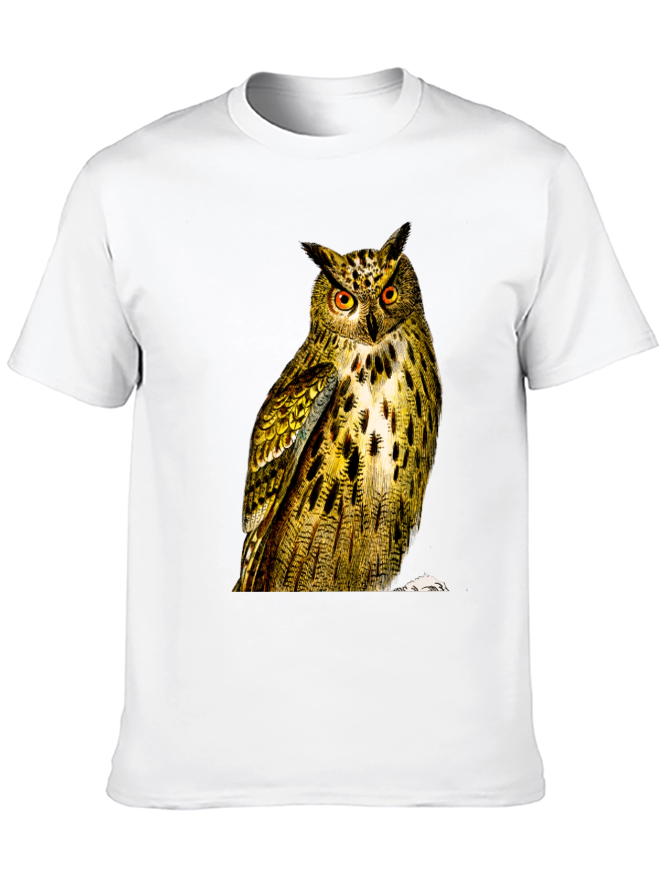 Owl Graphic Print Mens Black T-Shirt