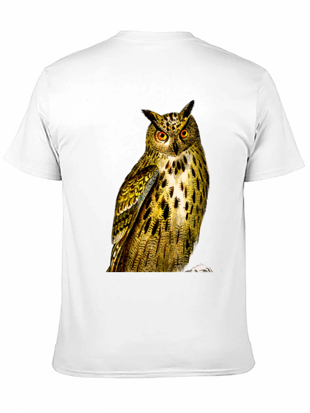 Owl Graphic Print Mens Black T-Shirt