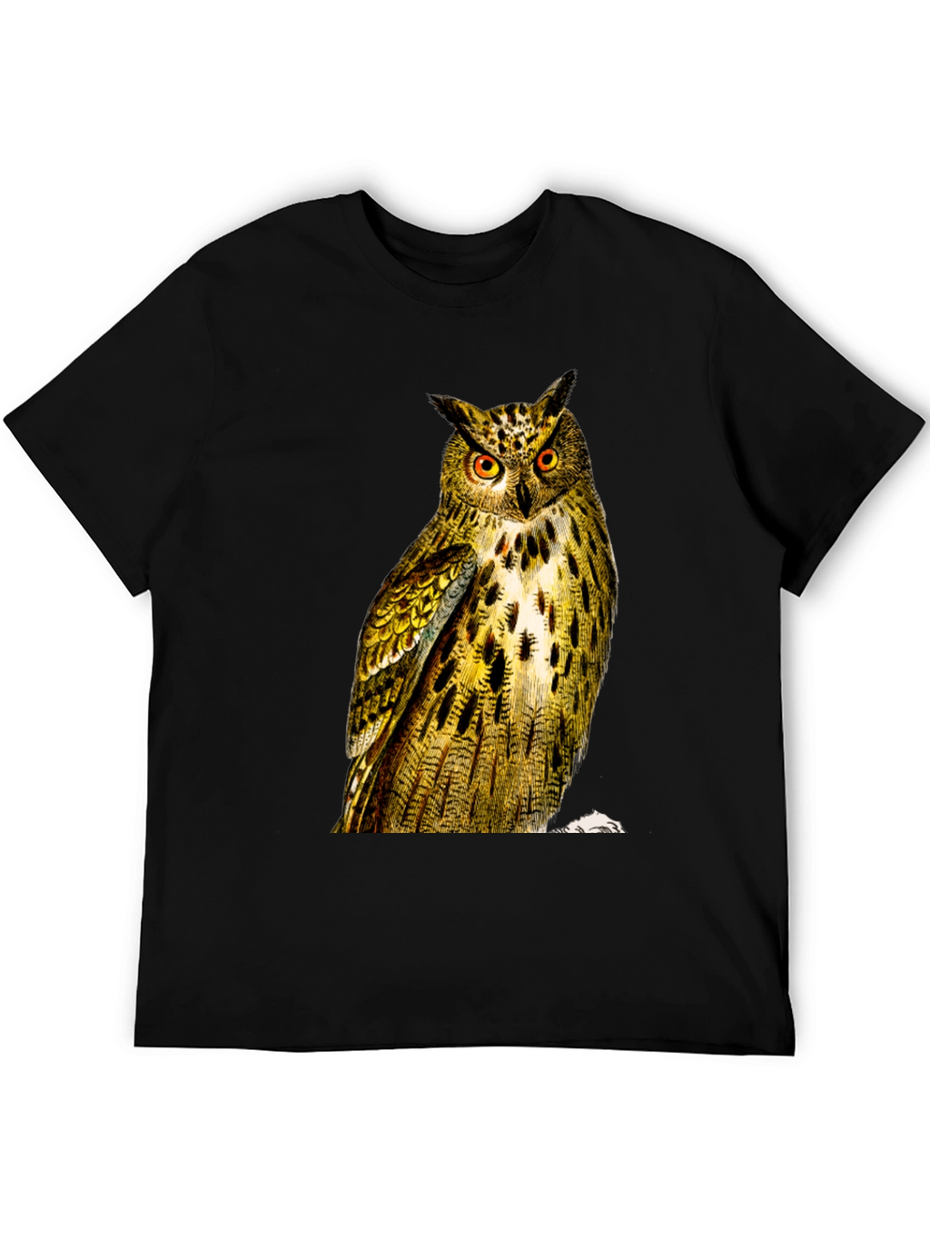 Owl Graphic Print Mens Black T-Shirt