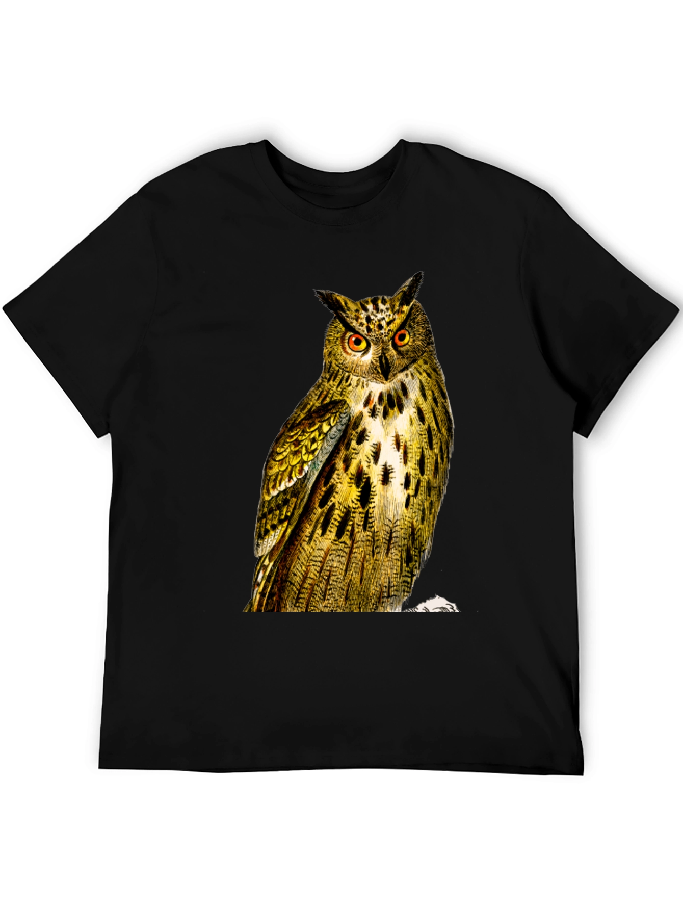 Owl Graphic Print Mens Black T-Shirt